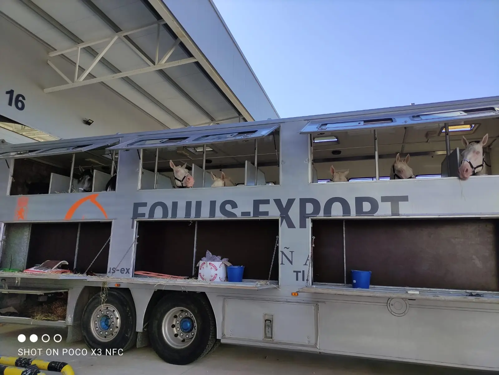 Remolque Equus Export