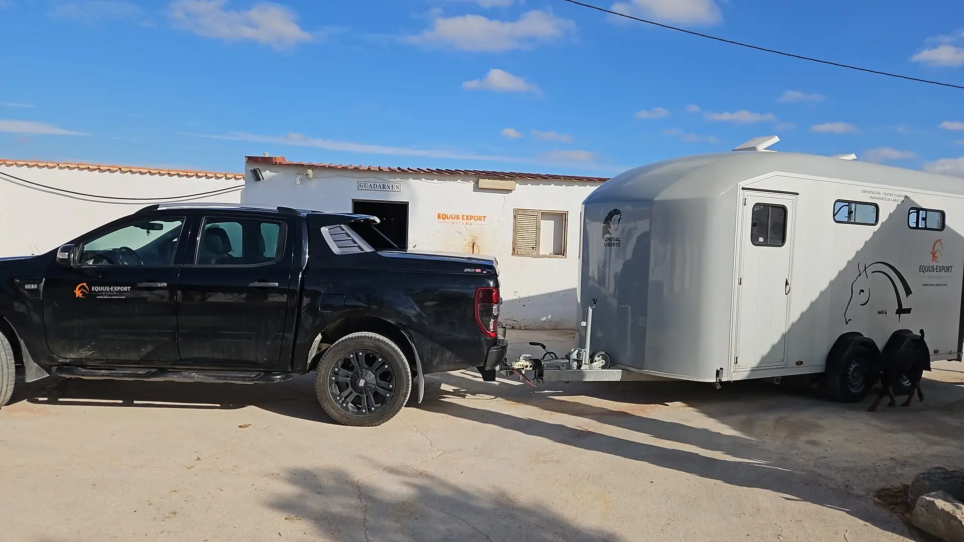 Movilización de caballos en camión Equus Export