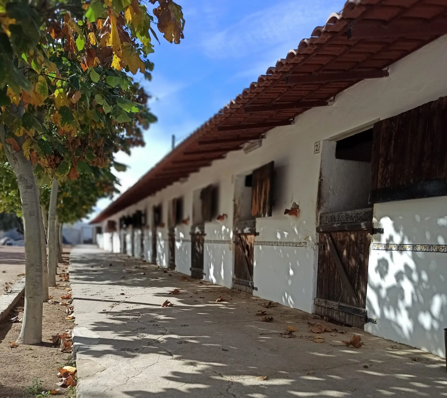 Instalaciones de cuarentena Equus Export