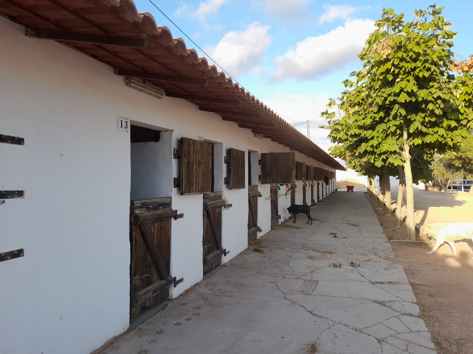 Vista general cuarentenas de caballos Equus Export