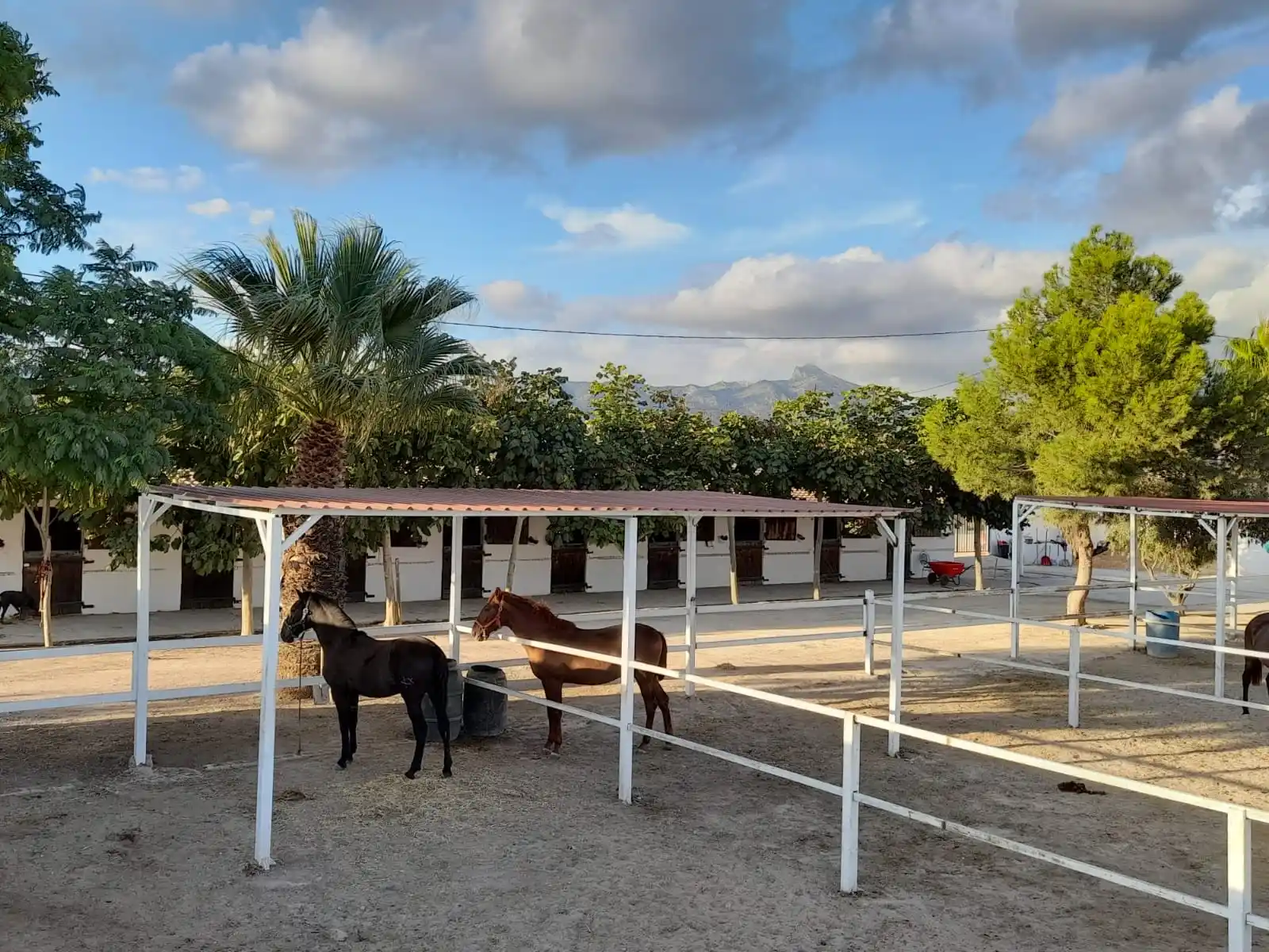 Paddocks exteriores Equus Export