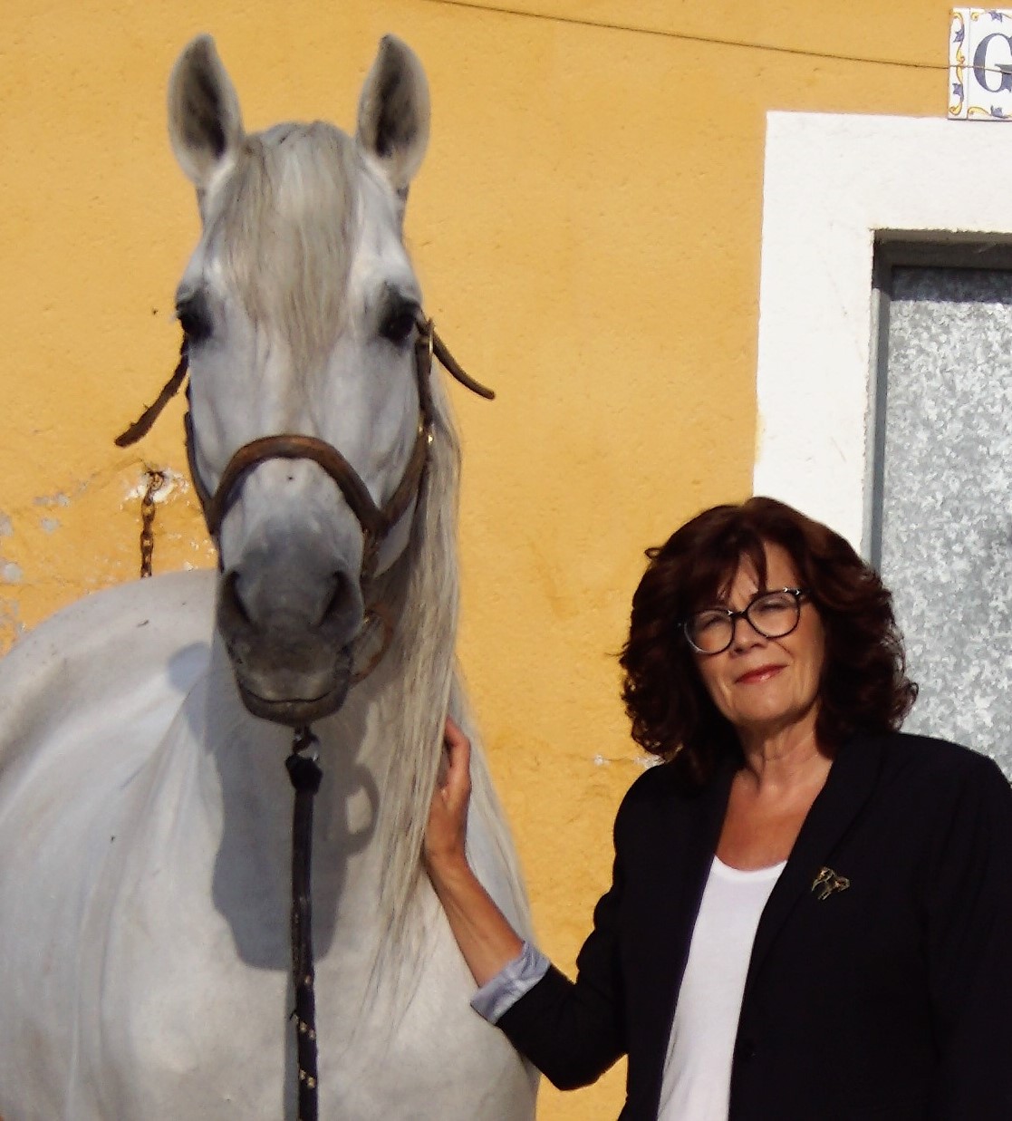 Celine - Fundadora de EquusExport