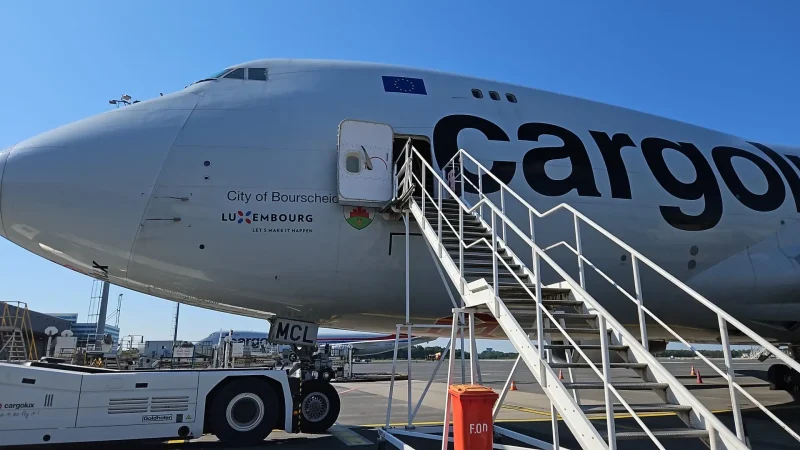 Transporte aéreo de caballos en avión de carga - Equus Export