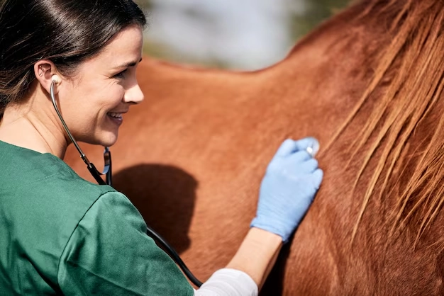analíticas para exportar caballos
